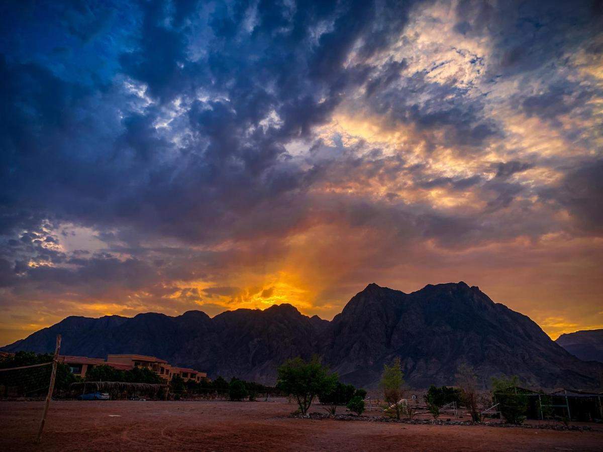 Sakratah Camp - Eco Friendly Hotel Taba Kültér fotó