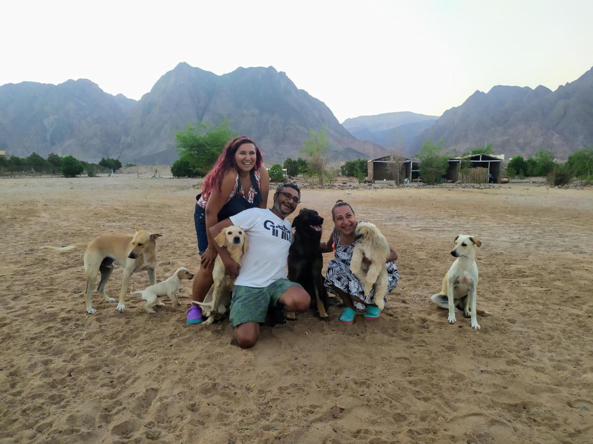 Sakratah Camp - Eco Friendly Hotel Taba Kültér fotó