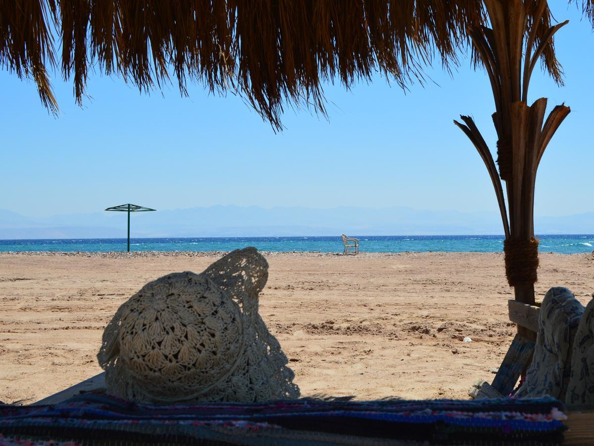 Sakratah Camp - Eco Friendly Hotel Taba Kültér fotó