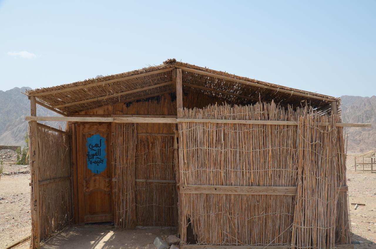Sakratah Camp - Eco Friendly Hotel Taba Kültér fotó