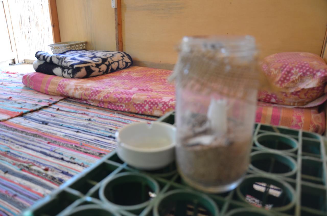 Sakratah Camp - Eco Friendly Hotel Taba Kültér fotó